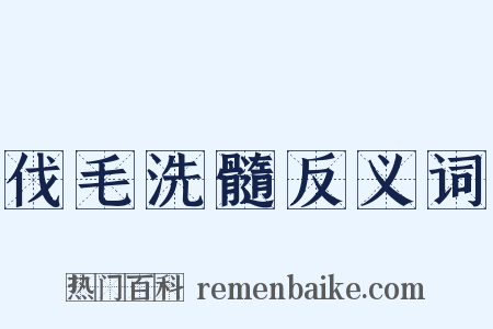 伐毛洗髓反义词是什么意思的图片